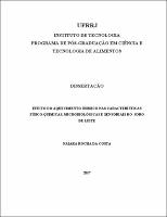 2017 - Naiara Rocha da Costa.pdf.jpg