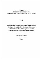 2013 - Alice Teodorio Lixa.pdf.jpg