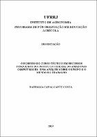 2019 - Nathalia Cavalcante Costa.pdf.jpg