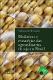 Dinamicas e estrategias das agroindustrias de soja no Brasil.pdf.jpg