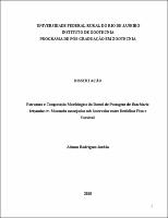 2010 - Alisson Rodrigues Jordão.pdf.jpg