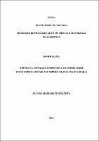 2010 - Silvana Maria Bastos Batista.pdf.jpg