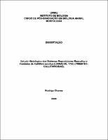 2006 - Rodrigo Chaves.pdf.jpg