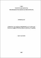 2021 - Lisia Castro Krebs.pdf.jpg