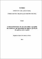 2014 - Hipólito Tadeu Ferreira da Silva.pdf.jpg