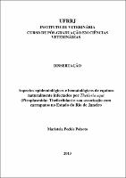 2013 - Maristela Peckle Peixoto.pdf.jpg