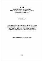 2012 - Eliane de Souza Silva Bueno.pdf.jpg