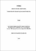 2010 - Erich Guimarães Nenartavis.pdf.jpg