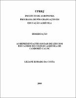 2008 - Liliane Kobarg da Costa.pdf.jpg