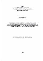 2019 - Luiz Ricardo Alves Pessoa Roza.pdf.jpg