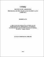 2012 - Luciana Borges de Andrade.pdf.jpg