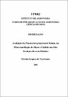 2008 - Vinicius Sampaio do Nascimento.pdf.jpg