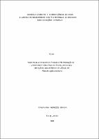 1980 - Ramayana Menezes Braga.pdf.jpg