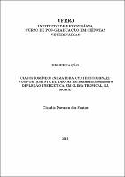 2011 - Claudia Navarro dos Santos.pdf.jpg