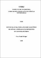 2010 - Cesar Daniel Kruger.pdf.jpg