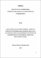 2015 - Vinícius Menezes Tunholi Alves.pdf.jpg