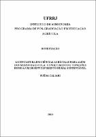 2020 - Suêda Caliari.Pdf.jpg