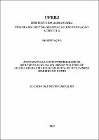 2019 - Luciano das Neves Carvalho.pdf.jpg