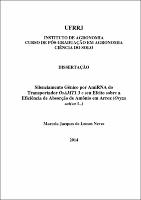 2014 - Marcela Jacques de Lemos Neves.pdf.jpg