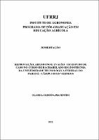 2012 - Claudia Cristina Piacentini.pdf.jpg