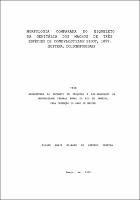 1978 - Eliane Maria Milward de Azevedo Pereyra.pdf.jpg