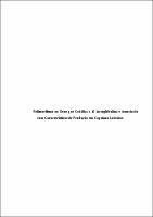 2014 - Ramon de Sousa Rego.pdf.jpg