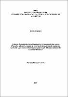 2007 - Mariana Marques Corrêa.pdf.jpg