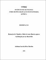 2009 - Adriana Lau da Silva Martins.pdf.jpg