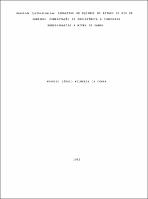 1992 - Augusto Sérgio Wilwerth da Cunha.pdf.jpg