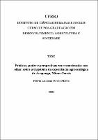 2006 - Flávia Luciana Naves Mafra.pdf.jpg