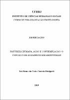 2019 - Isis Bruna da Costa Correia Merigueti.pdf.jpg