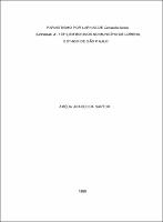 1986 - Amélia Aparecida Sartor.pdf.jpg