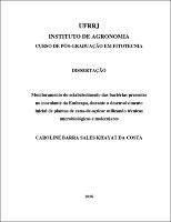 2016 - Caroline Barra Sales Khayat da Costa.pdf.jpg