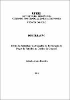 2014 - Rafael Antonio Presotto.pdf.jpg