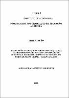 2010 - Alessandra Sarmento Rodrigues.pdf.jpg