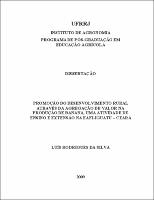 2009 - Luís Rodrigues da Silva.pdf.jpg