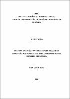 2008 - Suzy Veiga Diniz.pdf.jpg