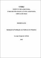 2013 - Luciana Fernandes de Brito.pdf.jpg