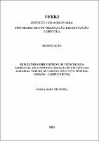 2020 - Joana Darc de.Souza.pdf.jpg