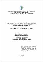 2005 - Elizene Damasceno Rodrigues Soares.pdf.jpg