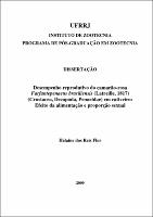 2009 - Helaine dos Reis Flor.pdf.jpg