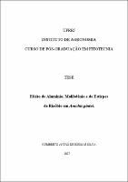 2007 - Humberto Antão de Sousa e Silva.pdf.jpg