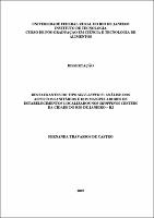 2007 - Fernanda Travassos de Castro.pdf.jpg