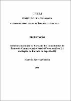 2006 - Mauricio Kadooka Shimizu.pdf.jpg