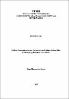 2007 - Tiago Marques dos Santos.pdf.jpg