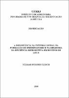 2010 - Vilmar Rudinei Ulrich.pdf.jpg
