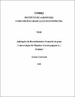 2009 - Ariane Castricini.pdf.jpg