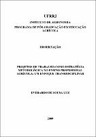 2009 - Everardo de Sousa Luz.pdf.jpg