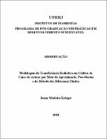 2018 - Joana Madeira Krieger.pdf.jpg