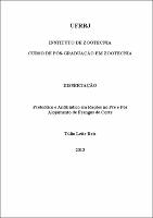 2013 - Túlio Leite Reis.pdf.jpg